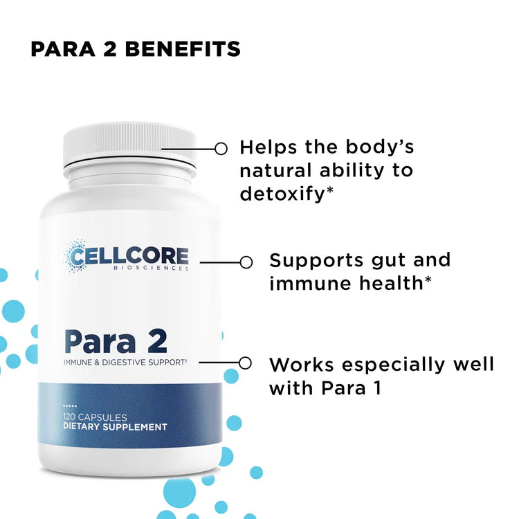 Foundational Step 2: Gut & Immune Support