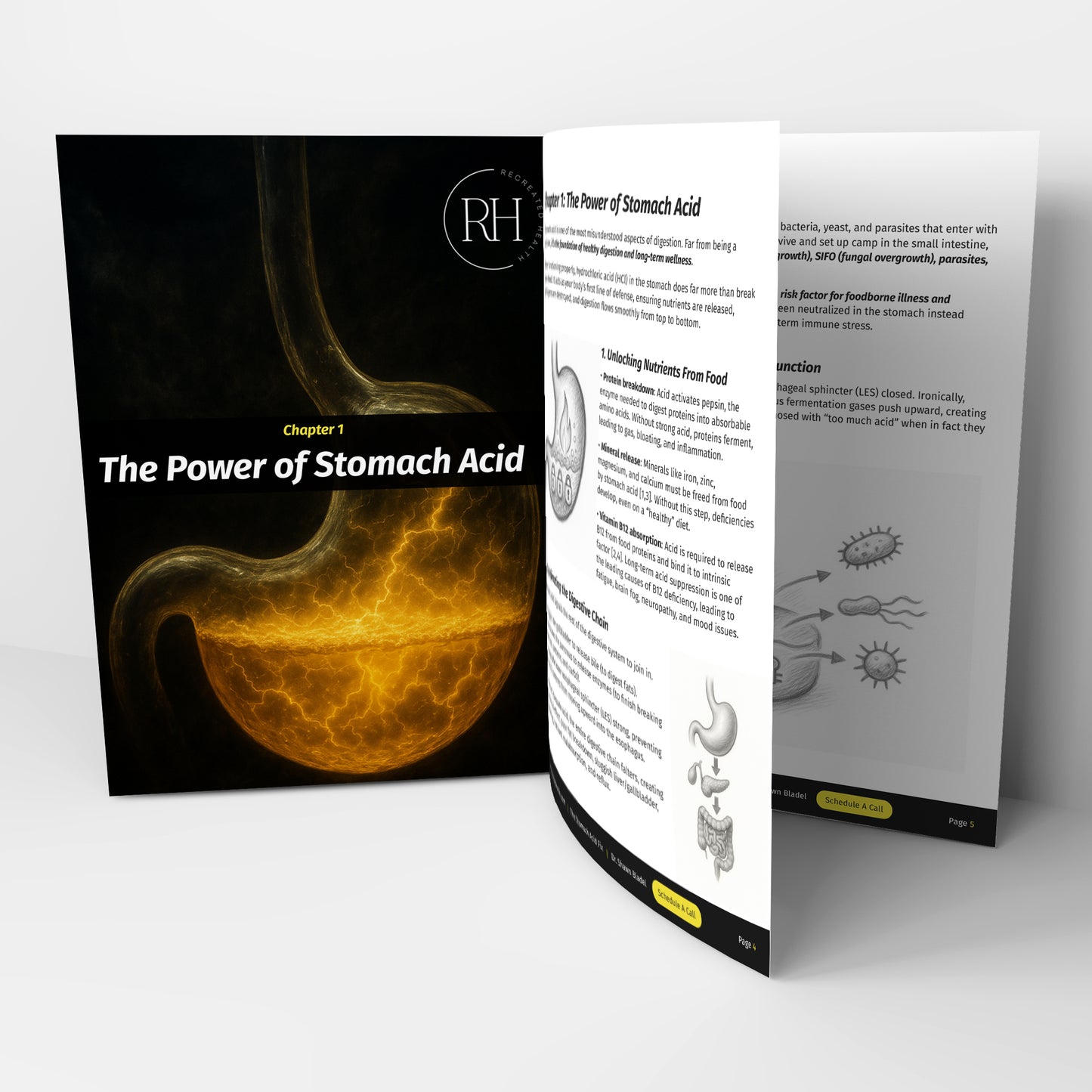 The Stomach Acid Fix eBook (Digital Download)